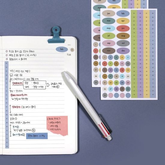 인덱스 스티커-데이포인트/포커스온