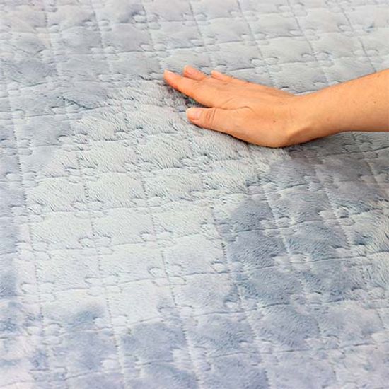 상아전자 전자파 없는 극세사 전기요 더블 SAE-D205