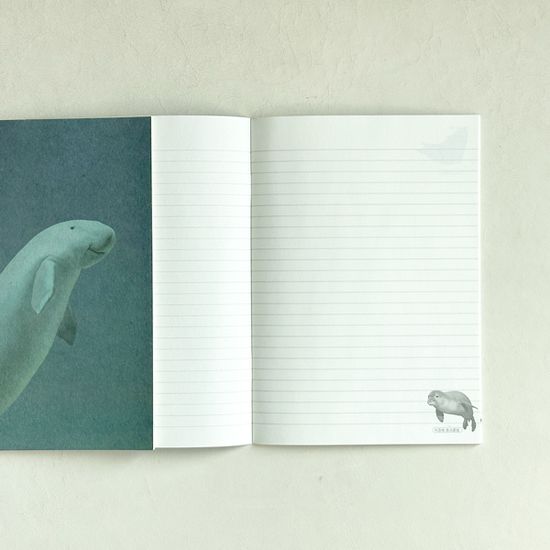 [3+1] 쥬노 신학기 디자인노트_듀공