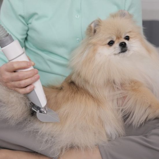 럽마이펫 스마트 진공 애견미용기 바리깡 본사배송