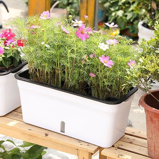 초록가든 자동급수 화분 상추 토마토 베란다 텃밭