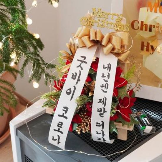 겨울 감성 미니 축하 화환 조화 포인세티아 트리