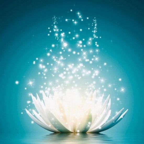  [보석십자수]HS19340 별빛내리는 연꽃 size 40x50cm