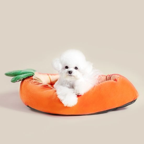 NO알러지 당근 강아지 고양이 쿠션 방석