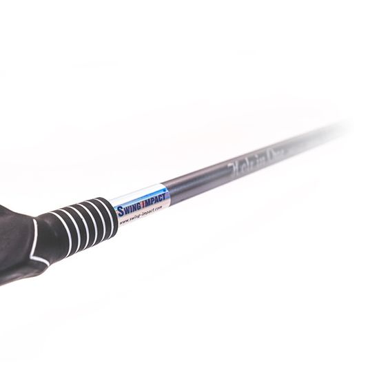 스윙임팩트 홀인원 실버 골프 스윙연습기