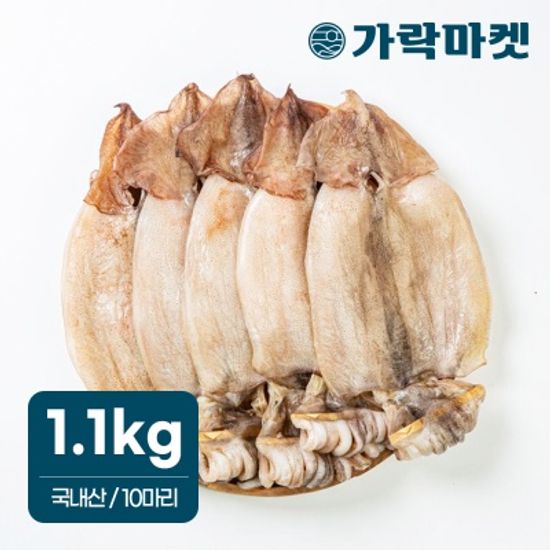 [가락마켓]국내산 반건조 오징어 1.1kg 피데기