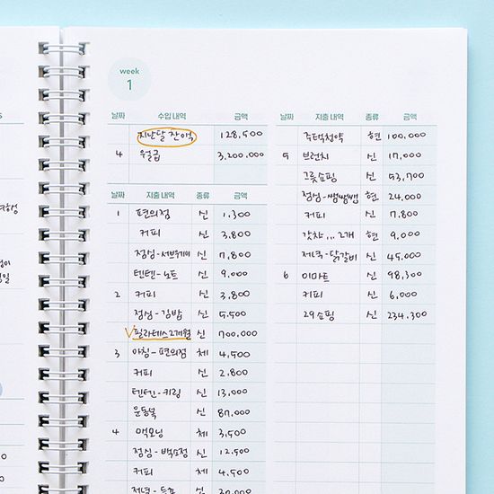 기본 작은소비 가계부 (만년형 1년용)
