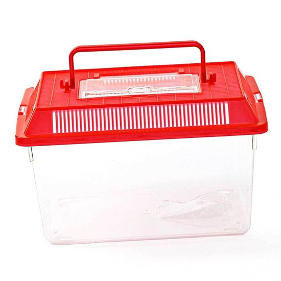 곤충채집통 잠자리통 곤충관찰(WFD343E)