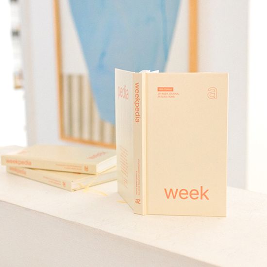 [만년형] Weekpedia 6개월 다이어리