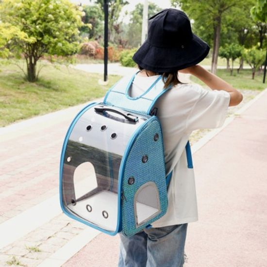 마이펫 투명 백팩 캐리어 이동가방(블루)