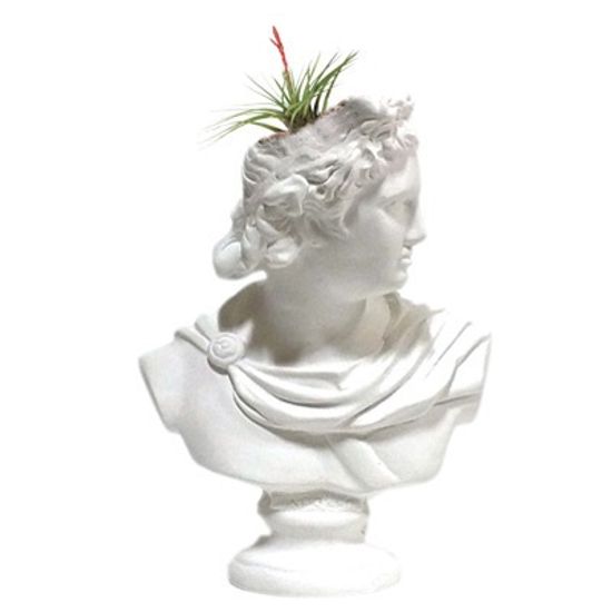 석고상화분 10종 아폴로 20cm내외 틸란드시아 선인장