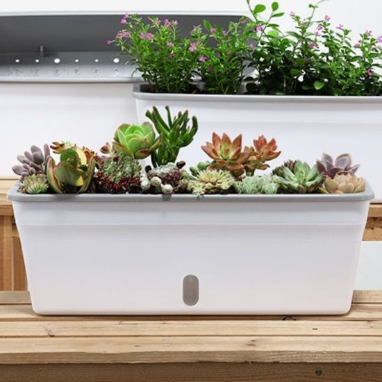 미니정원 자동급수 화분 다육이 상추 베란다 텃밭