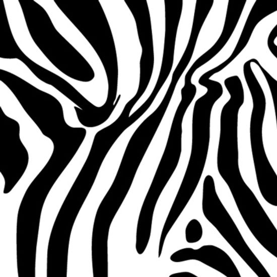 덕테이프 디자인 박스 테이프 지브라 무늬 9m