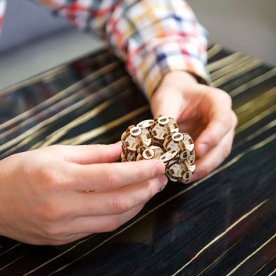 플렉시 큐브(Flexi-cubus)