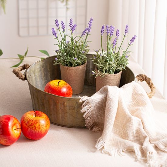 낮은 높이 양철 바스켓