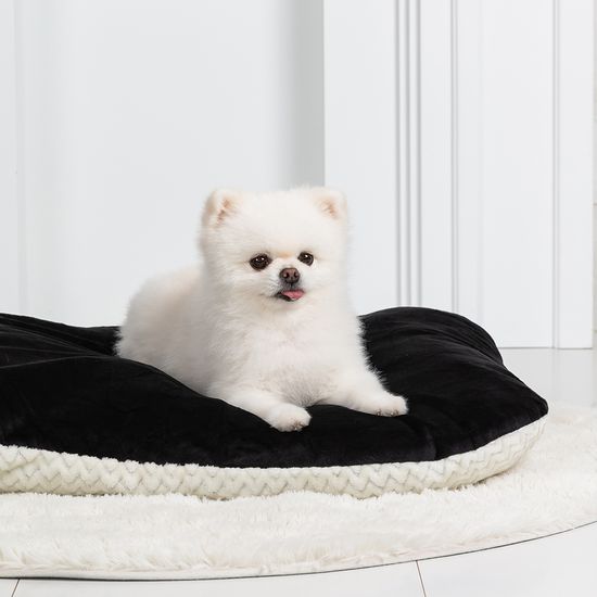 레토 대형 강아지 방석 쿠션 애견방석 LDC-R03