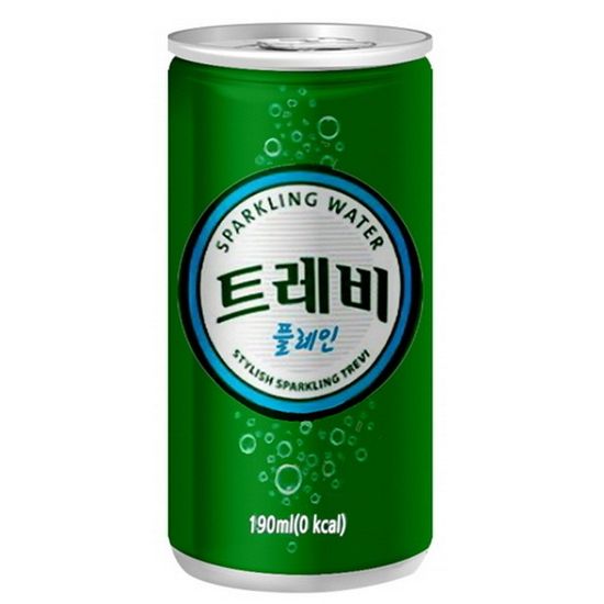 트레비 플레인 업소용 190ml/30캔