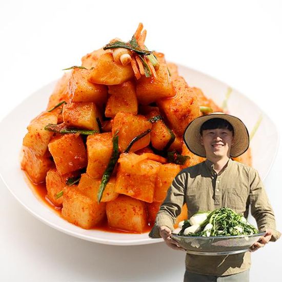 [참다올] 감칠맛나는 전라도 깍두기2kg