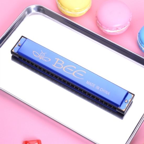 포린 24홀 하모니카(블루)/ 연습 연주용