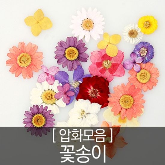 압화 꽃모음 - 꽃송이