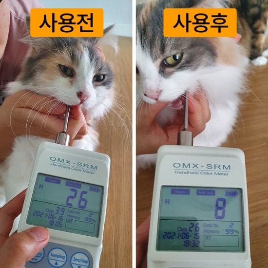 벨로펫 강아지 고양이 구강케어 프레쉬 댕글 냥글