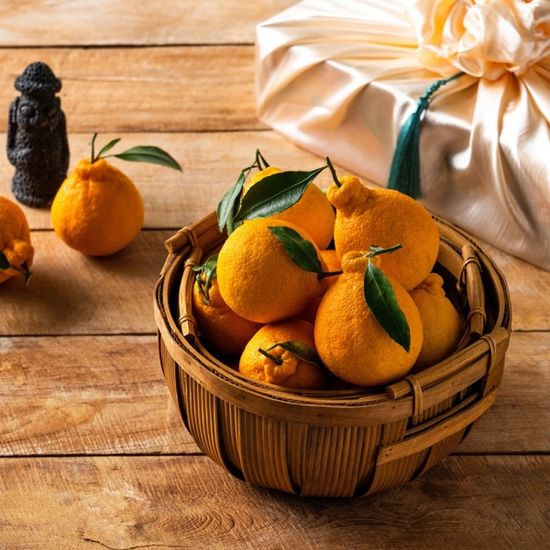 [바른팜] 제주 한라봉 3kg 보자기 과일 선물세트