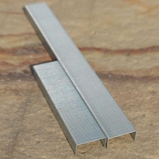 피스코리아 강하고 긴 스테플러 33호심/침 피혁용 1통