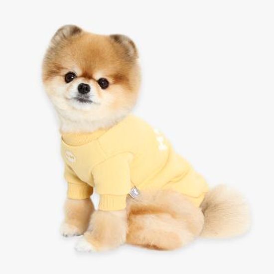 허그미 순면 맨투맨 (옐로우)