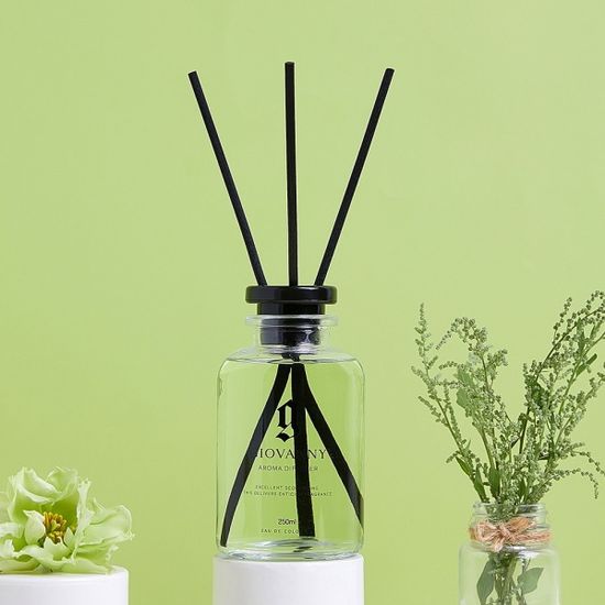 [1+1] 지오바니 러브 디퓨저 실내 인테리어 250ml 