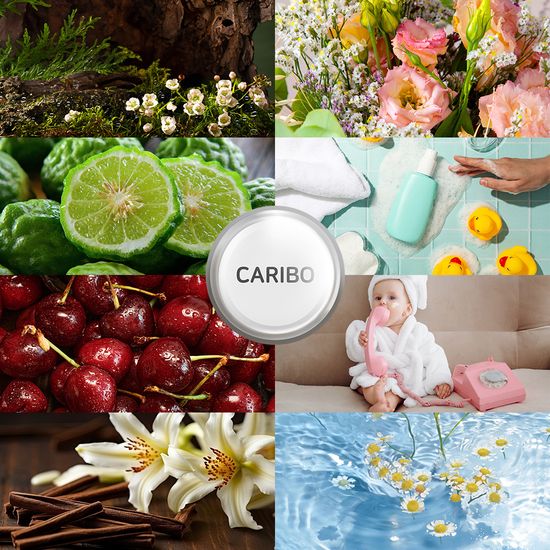  카리보 허그베어 차량용방향제 ver.1 크롬버전