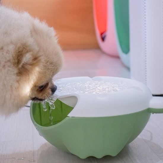 반려동물 자동순환 급수대 Waterer