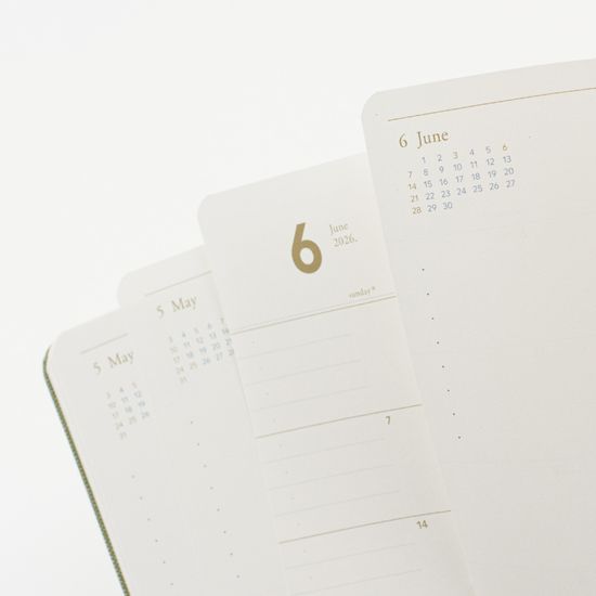 기억보관함 라지 주간 2026년