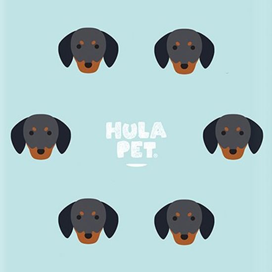 HULA PET PATTERN CASE (Dachshund) / 아이폰 케이스
