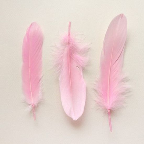 연분홍 깃털재료(M) 5p