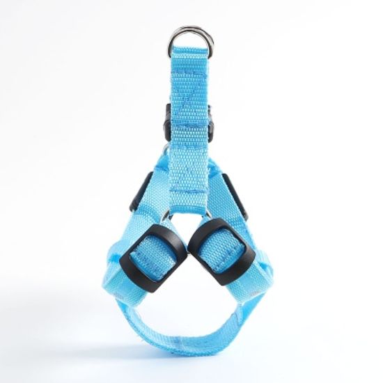 LED 강아지 하네스 가슴줄(L) (블루) 버클 애견가슴줄