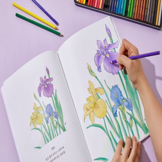 꽃컬러링북2권 36색연필 세트