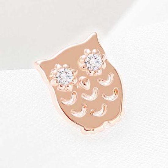 Everyday 14K 금침 큐빅 OWL 로즈골드 한쪽