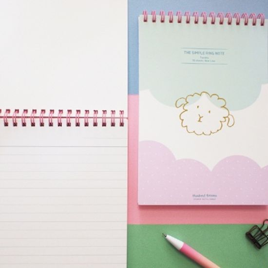 허쉬드브라운 반짝반짝페이스 B6상철링노트