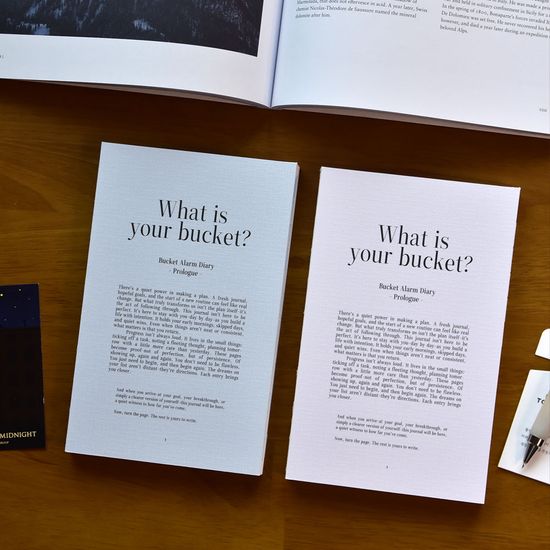 [만년형] 버킷알람다이어리 (생산성 버킷리스트 플랜)