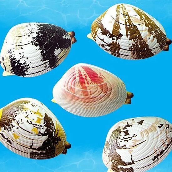 콧물 얼굴 말랑이 물총 조개 모양 소형 물총 워터건