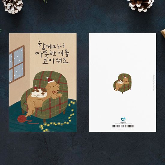 크리스마스카드 함께라서 따뜻한 겨울(강아지 고양이)