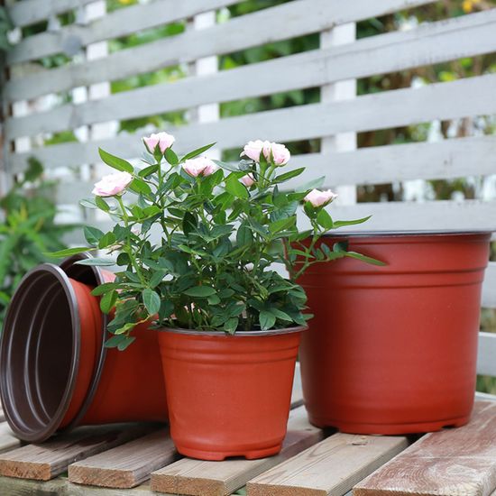 플라스틱 모종포트 화분 지름18cm(WEAA5A6)