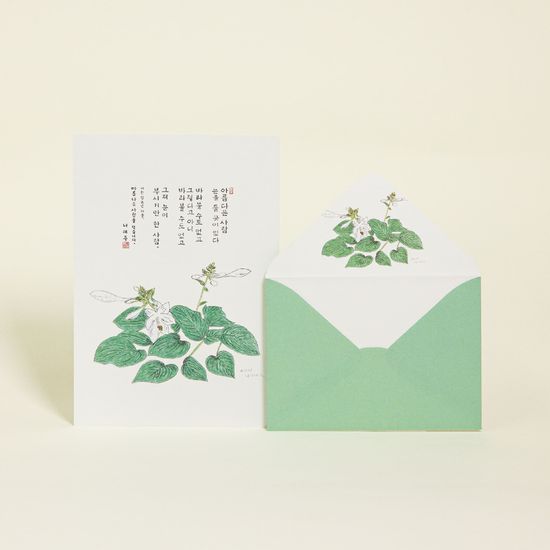 나태주 레터 콜렉션