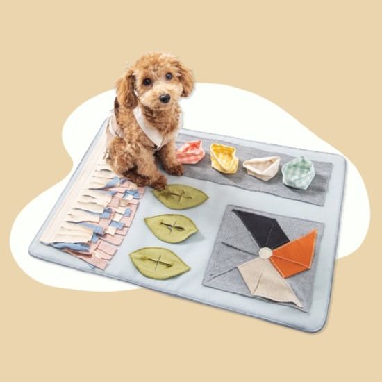 케이블랑 노즈워크 담요 SET(담요+옵션5종)