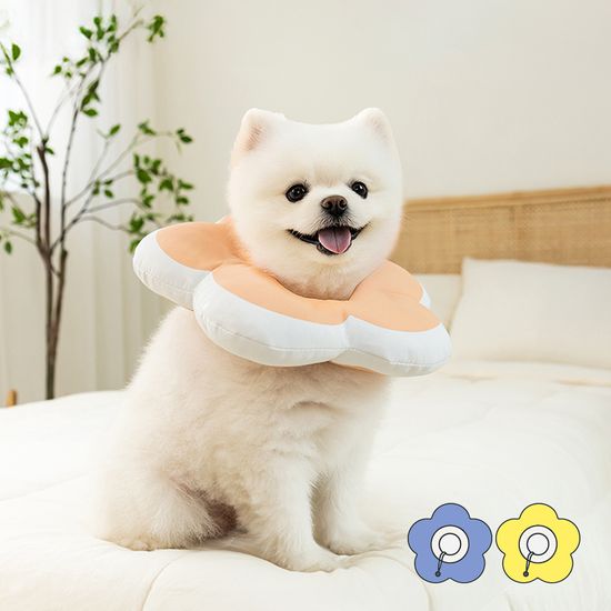 레토 강아지 고양이 넥카라 플라워 방수 LNC-F02