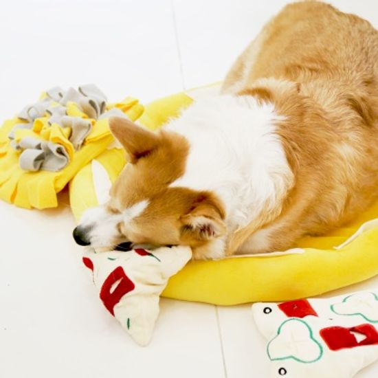 제이코 강아지 반려동물 노즈워크 피자모형