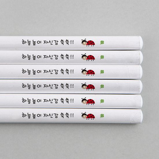 [주문제작]네임연필2B 6자루화이트 무당벌레