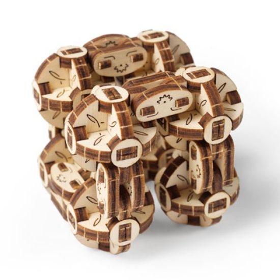 플렉시 큐브(Flexi-cubus)