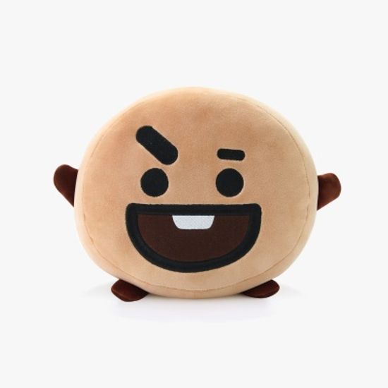 BT21 SHOOKY 슈키 얼굴쿠션 / 라인프렌즈 캐릭터