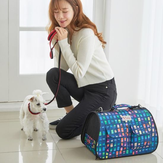 반려동물 강아지 고양이 이동식 가방 Picasso